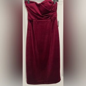 Express Velvet Strapless dress Burgundy Color